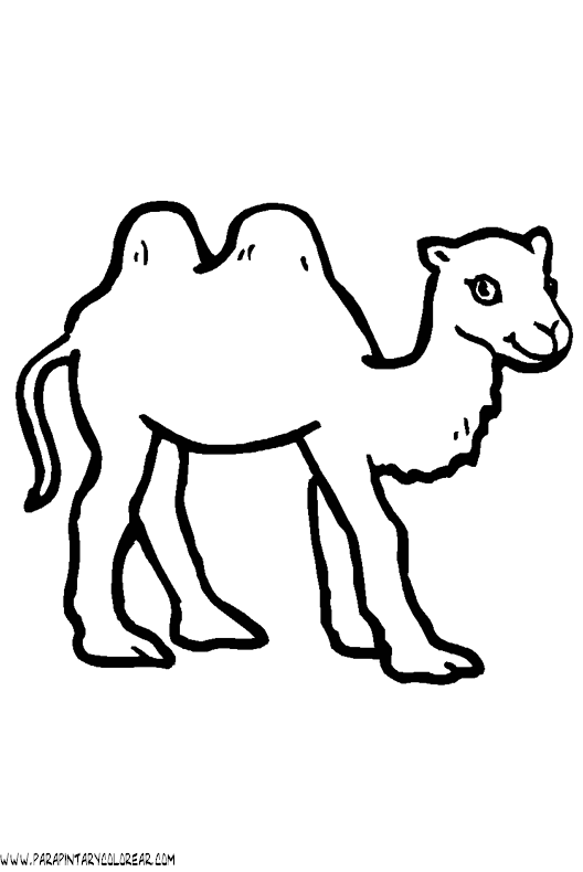 dibujos-de-camellos-006.gif