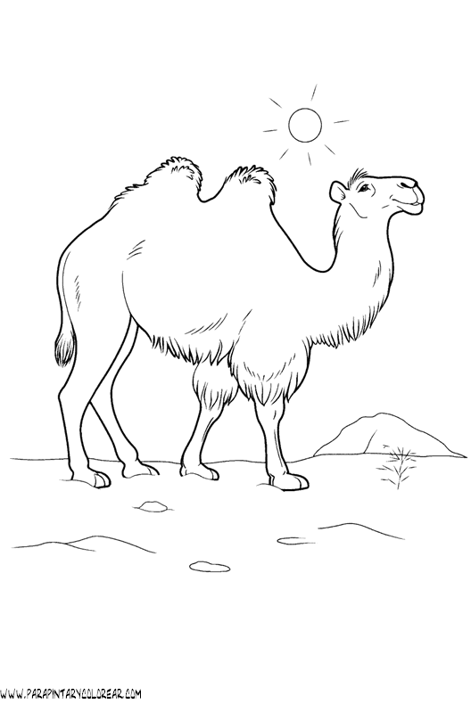 dibujos-de-camellos-008.gif