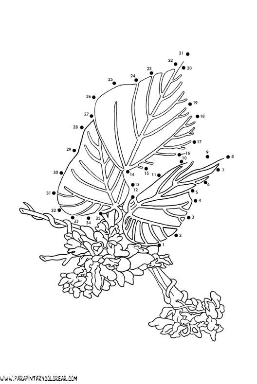 plantas-dibujar-uniendo-puntos-numeros-005.gif