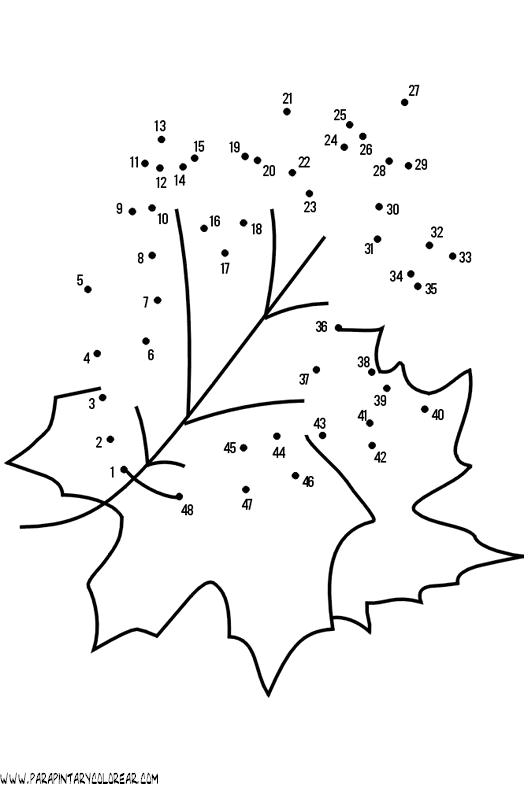 plantas-dibujar-uniendo-puntos-numeros-006.gif