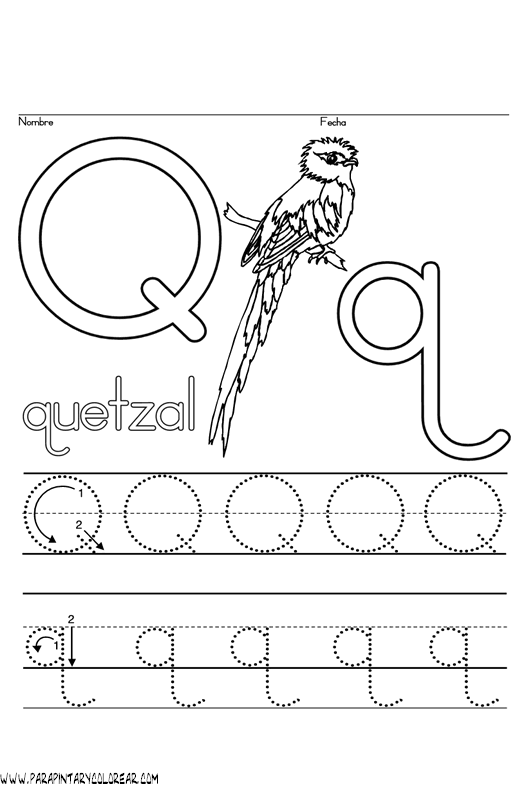 quetzal.gif