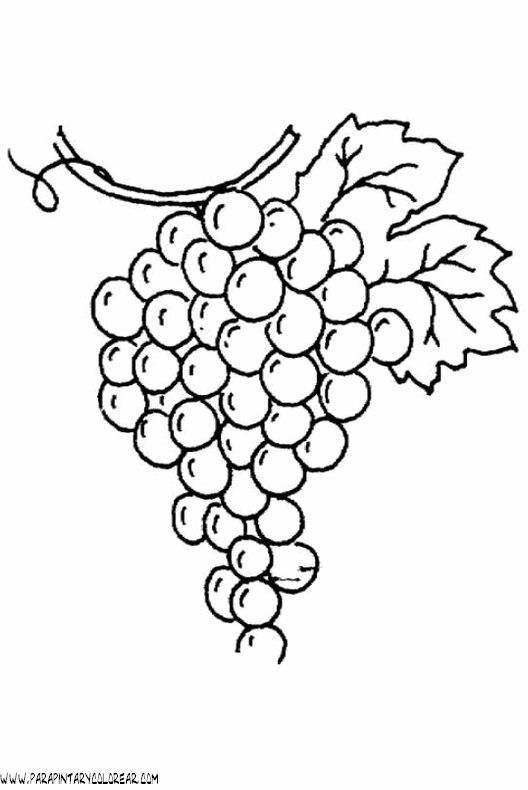 dibujos-de-uvas-005.gif