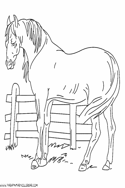 dibujos-de-caballos-124