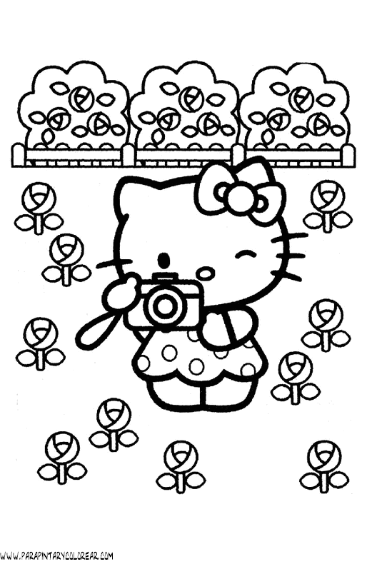 dibujos-para-colorear-de-hello-kitty-084.gif