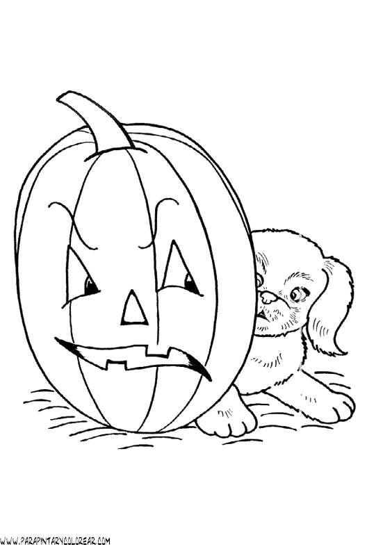 dibujos-de-halloween-calabazas-145.gif