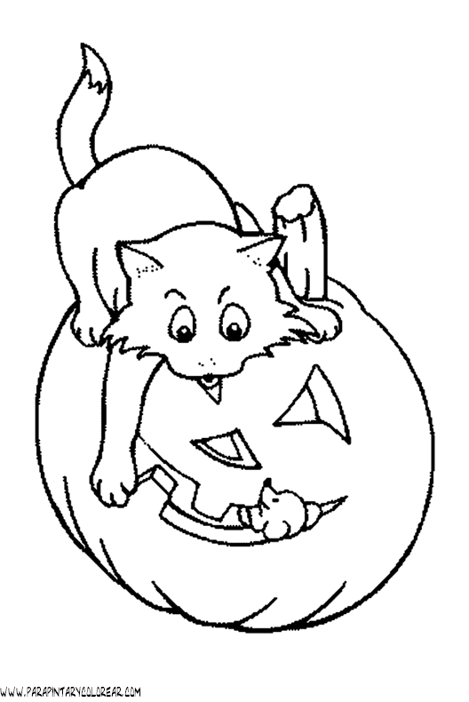 dibujo-de-halloween-gato-017.gif