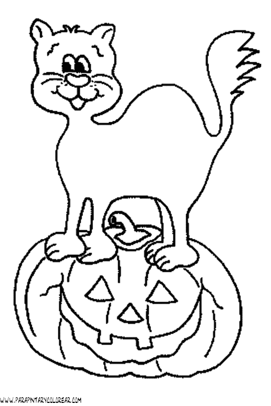 dibujo-de-halloween-gato-019