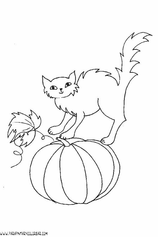 dibujo-de-halloween-gato-030.gif