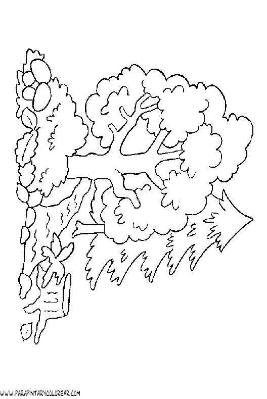 dibujos-de-arboles-para-colorear-045.gif