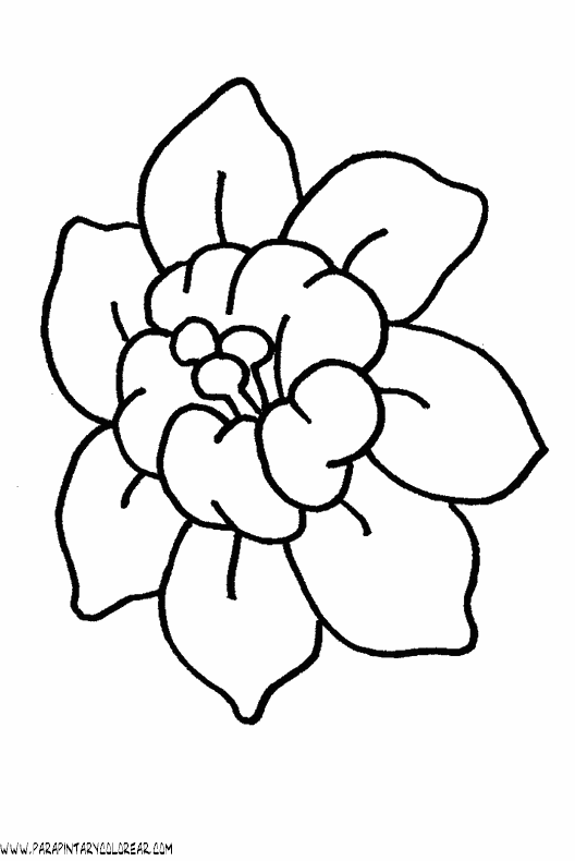 dibujos-para-colorear-de-flores-016.gif