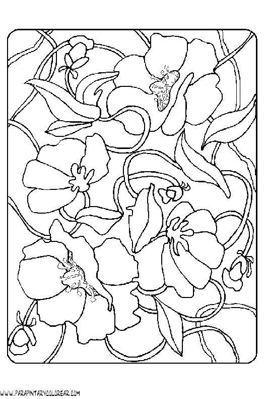 dibujos-para-colorear-de-flores-020.gif