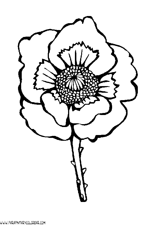 dibujos-para-colorear-de-flores-025.gif