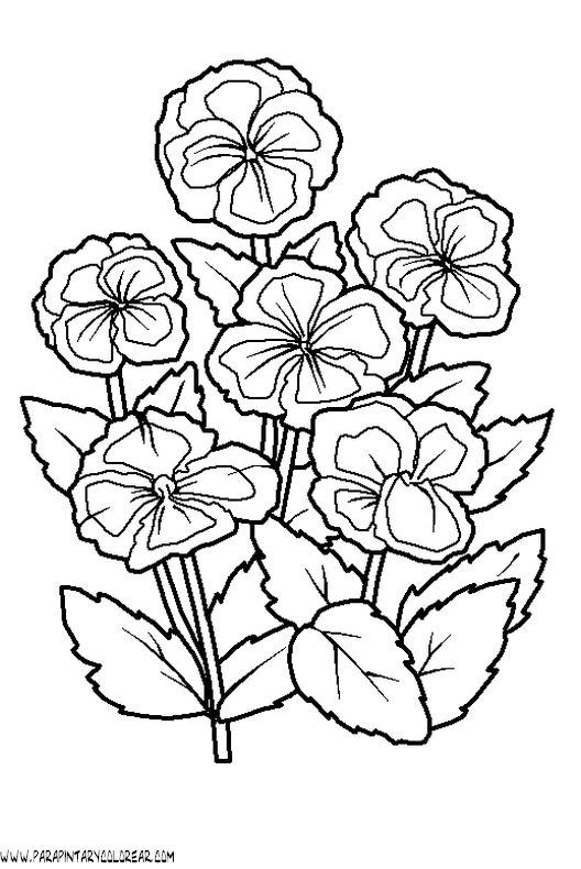 dibujos-para-colorear-de-flores-036.gif