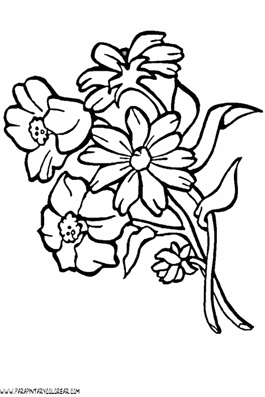 dibujos-para-colorear-de-flores-044.gif