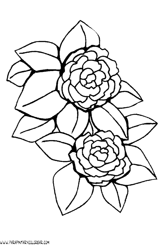 dibujos-para-colorear-de-flores-059.gif