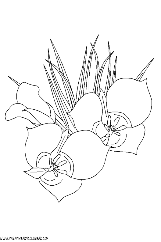 dibujos-para-colorear-de-flores-064.gif