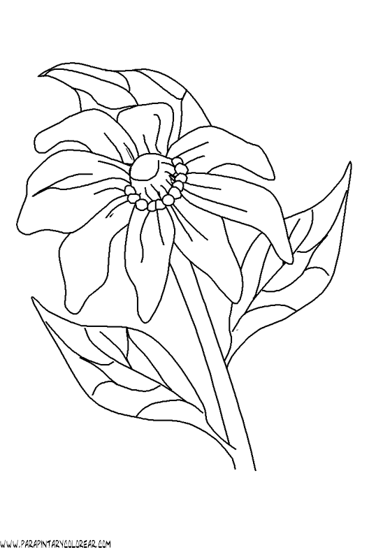 dibujos-para-colorear-de-flores-065.gif