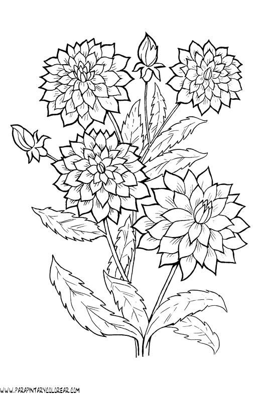 dibujos-para-colorear-de-flores-066.gif