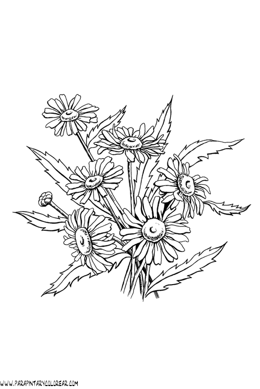 dibujos-para-pintar-de-flores-073.gif