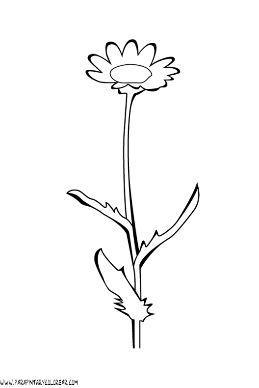 dibujos-para-pintar-de-flores-089.gif