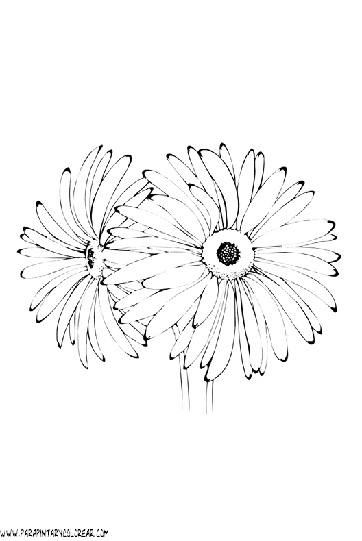 dibujos-para-pintar-de-flores-102.gif