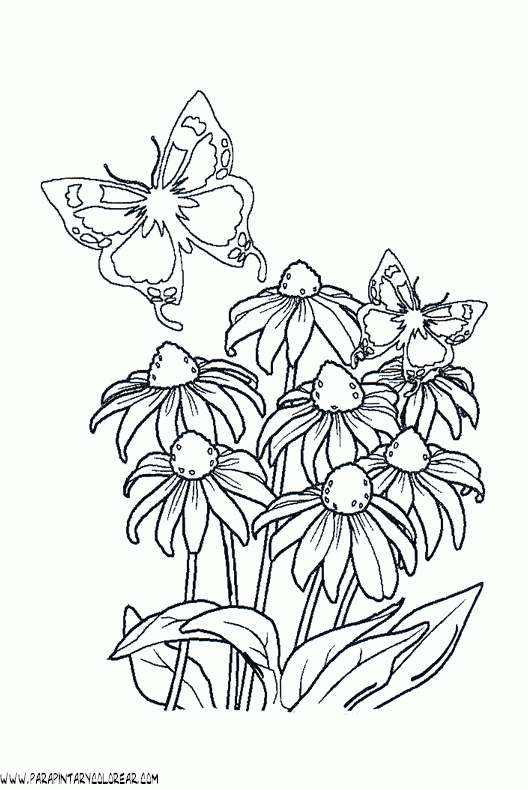 dibujos-para-pintar-de-flores-111.gif