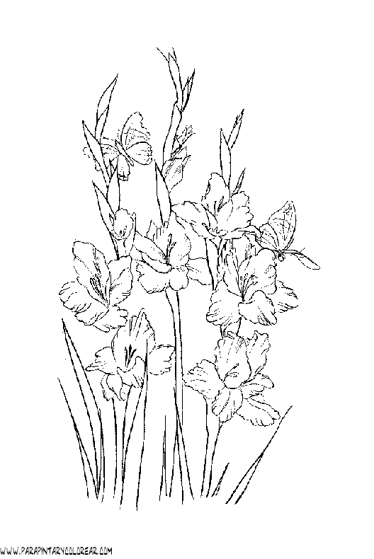 dibujos-para-pintar-de-flores-123.gif