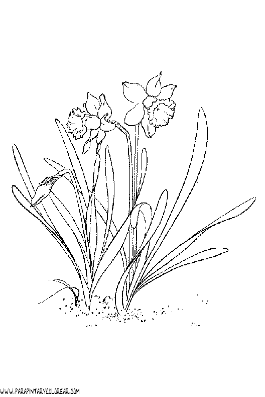 dibujos-para-pintar-de-flores-127.gif