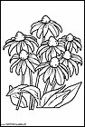 dibujos-para-colorear-de-flores-035.gif