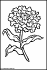 dibujos-para-colorear-de-flores-043.gif