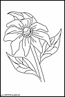 dibujos-para-colorear-de-flores-065.gif