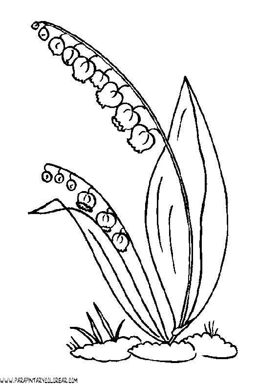 Dibujos Para Colorear De Flores Campanitas 001