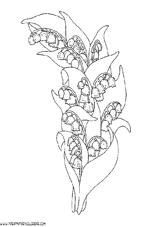 dibujos-para-colorear-de-flores-campanitas-003.gif