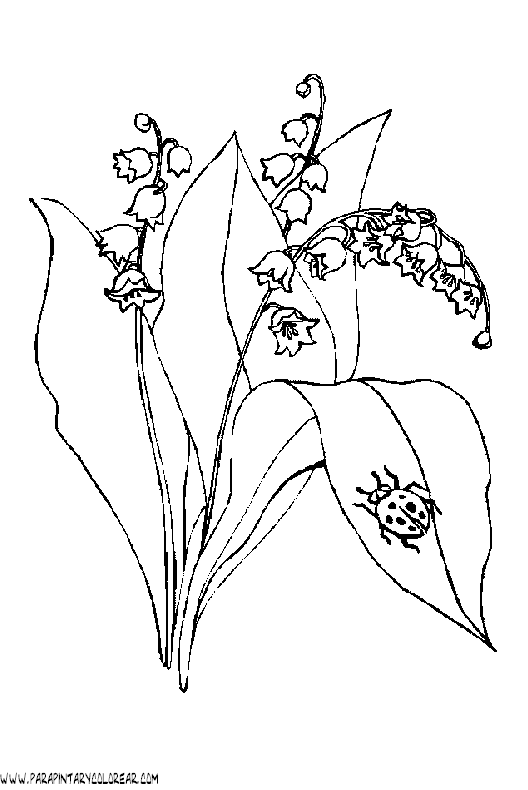 dibujos-para-colorear-de-flores-campanitas-008.gif