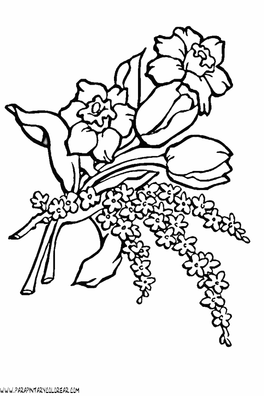 dibujos-para-colorear-de-ramos-de-flores-003.gif