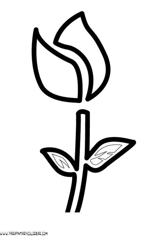 dibujos-para-pintar-de-flores-tulipanes-021.gif