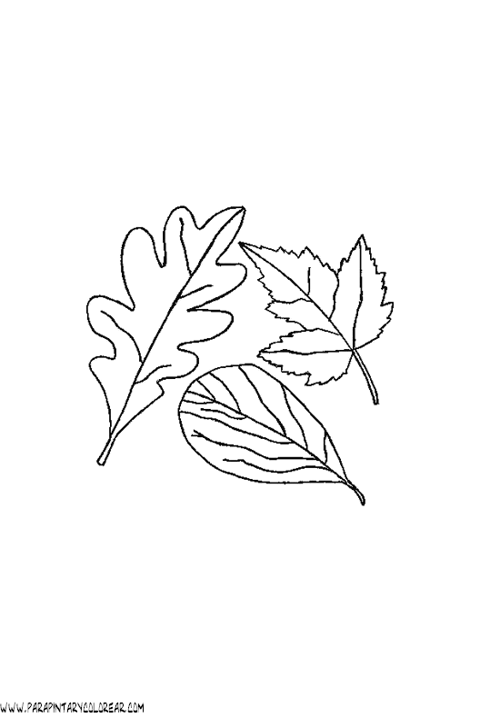 dibujos-para-pintar-de-hojas-de-arboles-016.gif